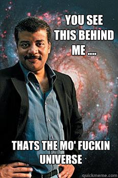 You see this behind me .... Thats the mo' fuckin universe  Neil deGrasse Tyson