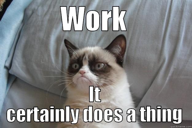 WORK IT CERTAINLY DOES A THING Grumpy Cat