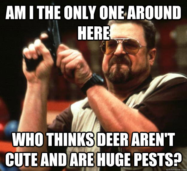 am I the only one around here who thinks deer aren't cute and are huge pests?  Angry Walter