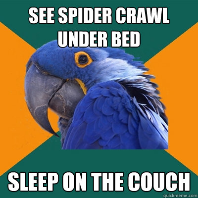 see Spider crawl under bed sleep on the couch - see Spider crawl under bed sleep on the couch  Paranoid Parrot