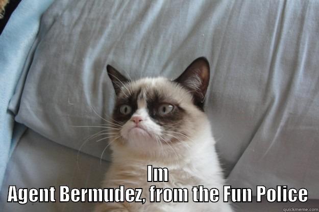  IM AGENT BERMUDEZ, FROM THE FUN POLICE Grumpy Cat