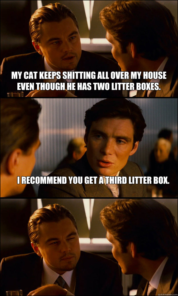 My cat keeps shitting all over my house even though he has two litter boxes. I recommend you Get a third litter box.   Inception