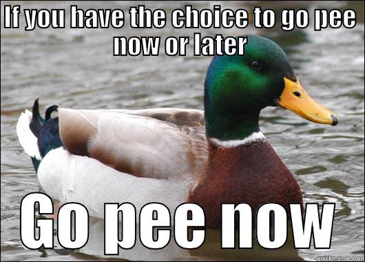 IF YOU HAVE THE CHOICE TO GO PEE NOW OR LATER GO PEE NOW Actual Advice Mallard