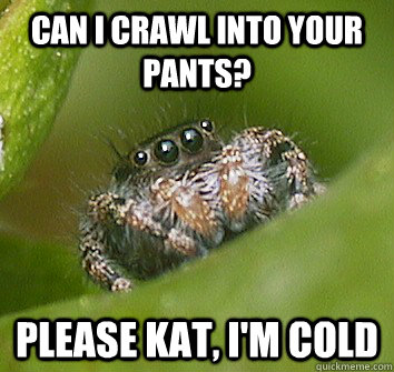 Can I crawl into your pants? Please Kat, I'm cold  Misunderstood Spider