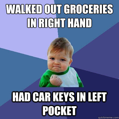 walked out groceries in right hand had car keys in left pocket - walked out groceries in right hand had car keys in left pocket  Success Kid