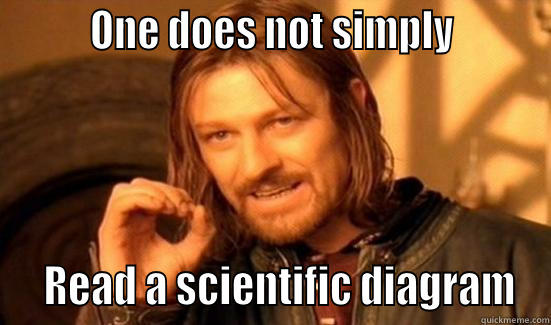 Scientific meme -         ONE DOES NOT SIMPLY           READ A SCIENTIFIC DIAGRAM Boromir