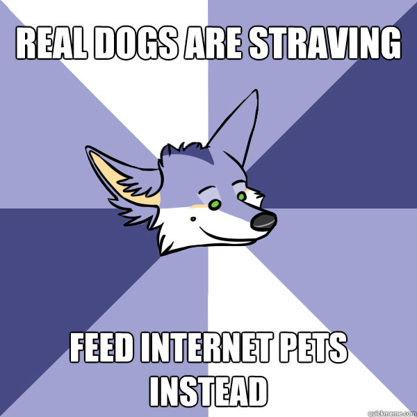 Real dogs are Straving  feed internet pets instead  