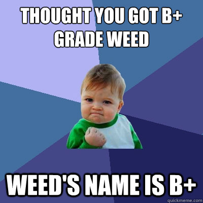 thought you got b+ grade weed WEED'S NAME IS B+  Success Kid