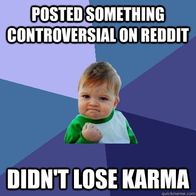 Posted something controversial on Reddit Didn't lose karma  Success Kid