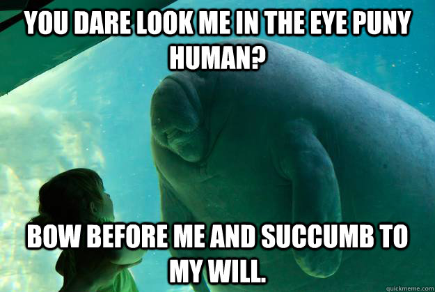 You dare look me in the eye puny human? Bow before me and succumb to my will.  Overlord Manatee