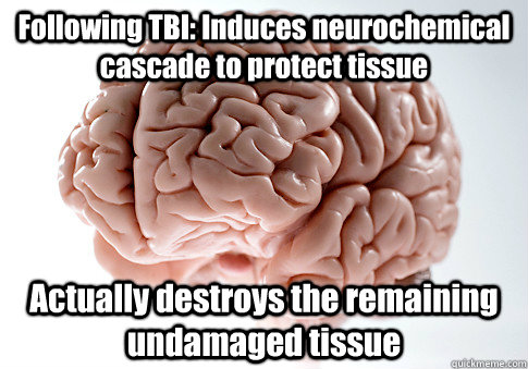 Following TBI: Induces neurochemical cascade to protect tissue Actually destroys the remaining undamaged tissue   Scumbag Brain