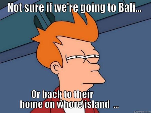 NOT SURE IF WE'RE GOING TO BALI... OR BACK TO THEIR                          HOME ON WHORE ISLAND  ...                  Futurama Fry