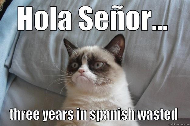 HOLA SEÑOR... THREE YEARS IN SPANISH WASTED Grumpy Cat