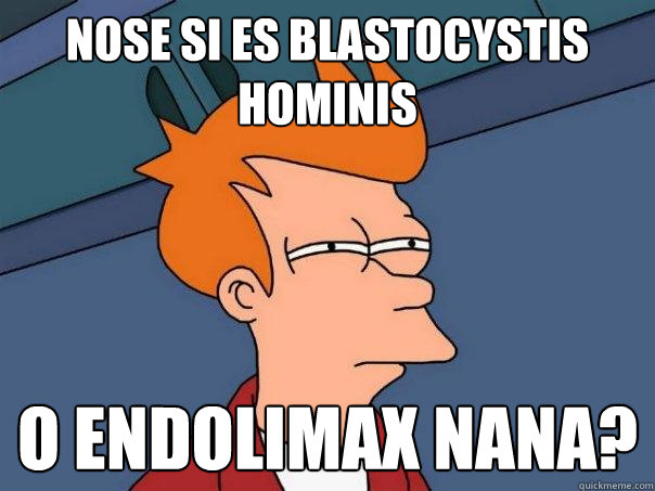 nose si es blastocystis hominis o endolimax nana? - nose si es blastocystis hominis o endolimax nana?  Futurama Fry