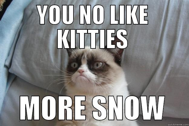 grumpy says - YOU NO LIKE KITTIES MORE SNOW Grumpy Cat