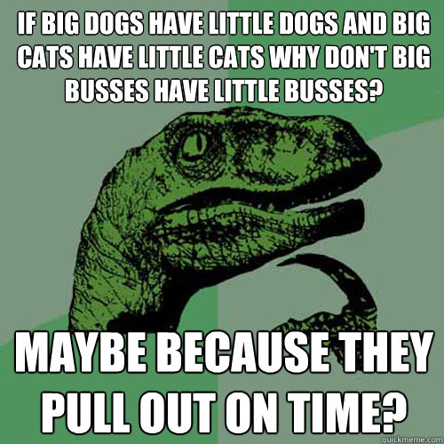 If big dogs have little dogs and big cats have little cats why don't big busses have little busses? Maybe because they pull out on time? - If big dogs have little dogs and big cats have little cats why don't big busses have little busses? Maybe because they pull out on time?  Philosoraptor