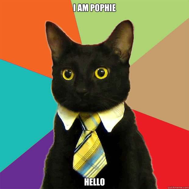 I am pophie hello
  Business Cat