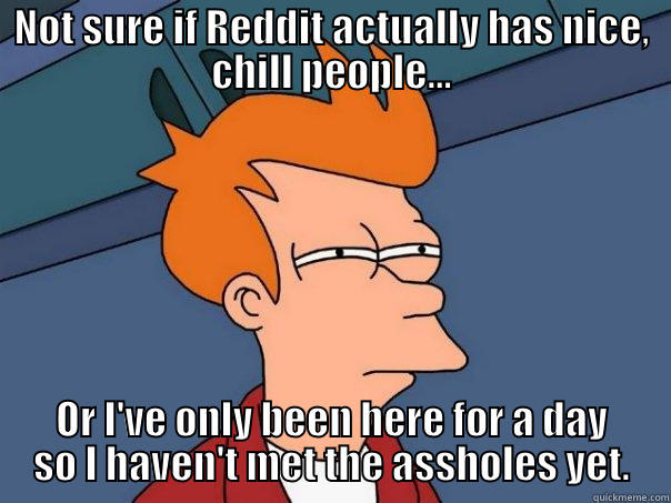 NOT SURE IF REDDIT ACTUALLY HAS NICE, CHILL PEOPLE... OR I'VE ONLY BEEN HERE FOR A DAY SO I HAVEN'T MET THE ASSHOLES YET. Futurama Fry