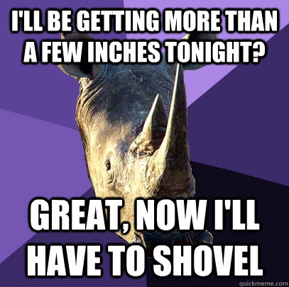 I'll be getting more than a few inches tonight? great, now i'll have to shovel   Sexually Oblivious Rhino