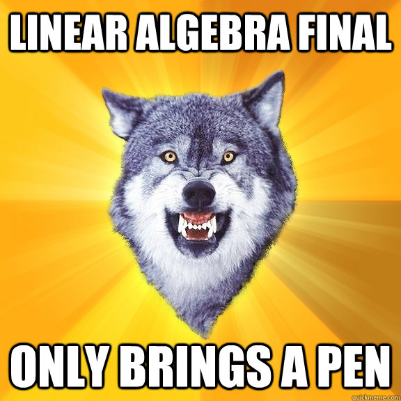 LINEAR ALGEBRA FINAL ONLY BRINGS A PEN  Courage Wolf