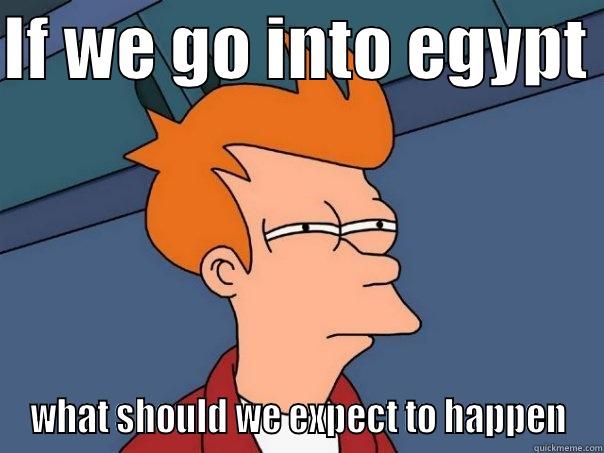 IF WE GO INTO EGYPT  WHAT SHOULD WE EXPECT TO HAPPEN Futurama Fry