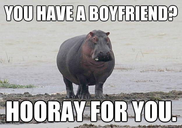 you have a boyfriend? hooray for you. - you have a boyfriend? hooray for you.  Unimpressed Hippo