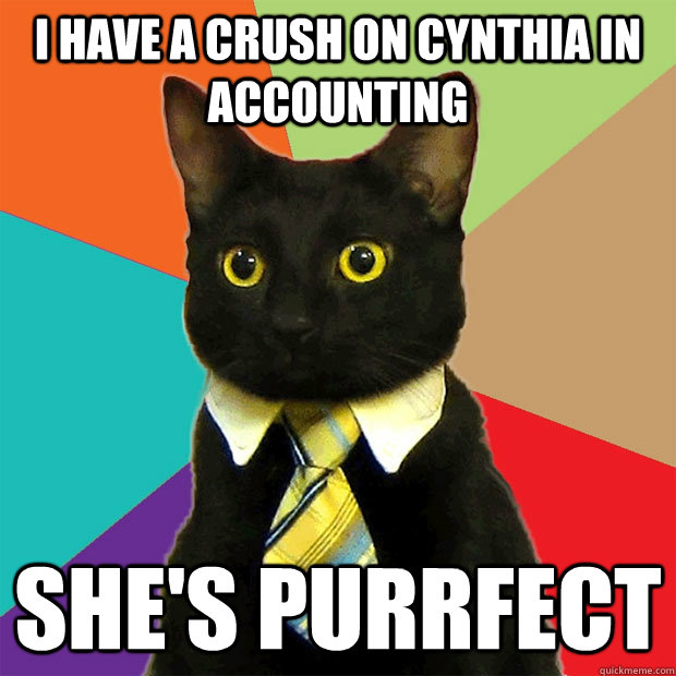 I have a crush on Cynthia in accounting She's purrfect  Business Cat