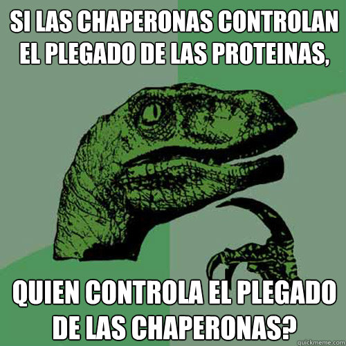 si las chaperonas controlan el plegado de las proteinas, quien controla el plegado de las chaperonas? - si las chaperonas controlan el plegado de las proteinas, quien controla el plegado de las chaperonas?  Philosoraptor