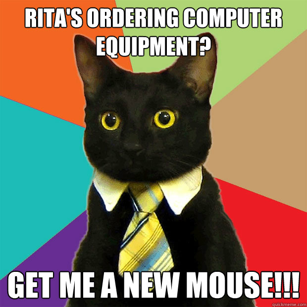 Rita's ordering computer equipment? get me a new mouse!!!  Business Cat