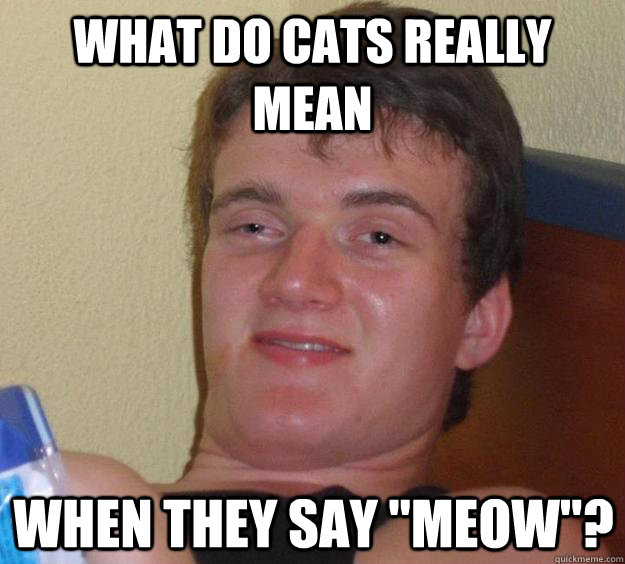 What do cats really mean when they say 