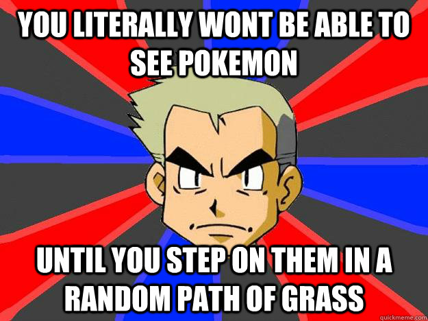 you literally wont be able to see pokemon until you step on them in a random path of grass  Professor Oak