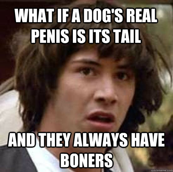 What if a dog's real penis is its tail and they always have boners  conspiracy keanu