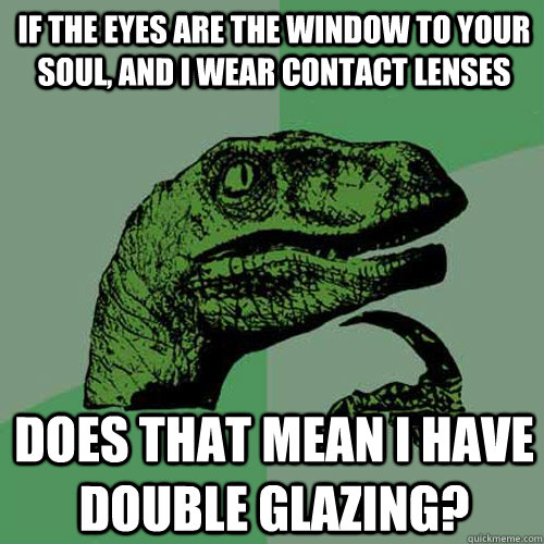 If the eyes are the window to your soul, and I wear contact lenses Does that mean I have double glazing?  Philosoraptor