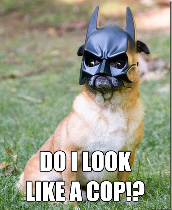 do i look like a cop!? - do i look like a cop!?  Batman pug