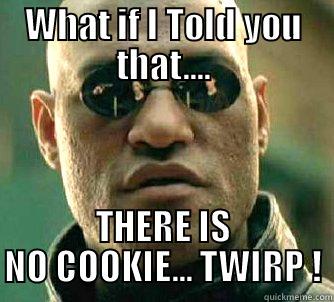 WHAT IF I TOLD YOU THAT.... THERE IS NO COOKIE... TWIRP ! Matrix Morpheus