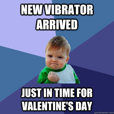 new vibrator arrived just in time for valentine's day  Success Kid