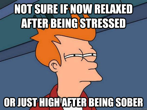 Not sure if now relaxed after being stressed Or just high after being sober - Not sure if now relaxed after being stressed Or just high after being sober  Futurama Fry