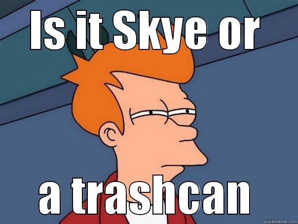 IS IT SKYE OR A TRASHCAN Futurama Fry