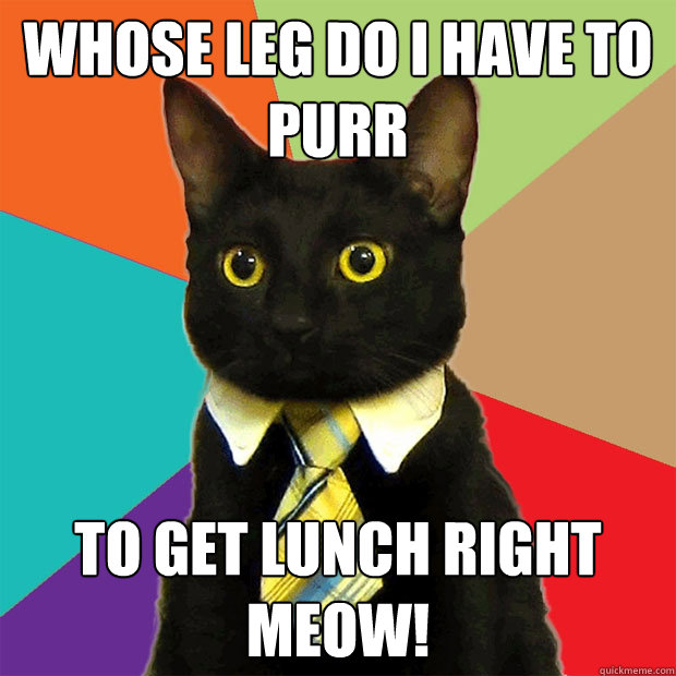 Whose leg do I have to purr to get lunch right meow!  Business Cat