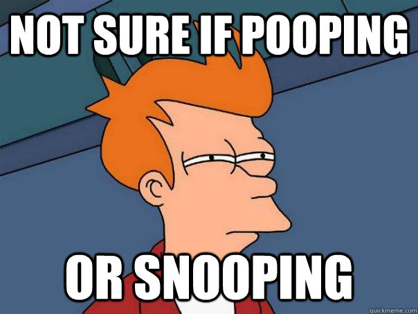 Not sure if pooping Or snooping  Futurama Fry