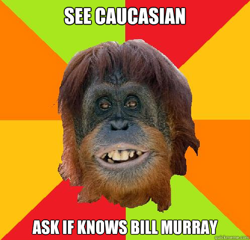 see Caucasian  ask if knows bill murray  Culturally Oblivious Orangutan