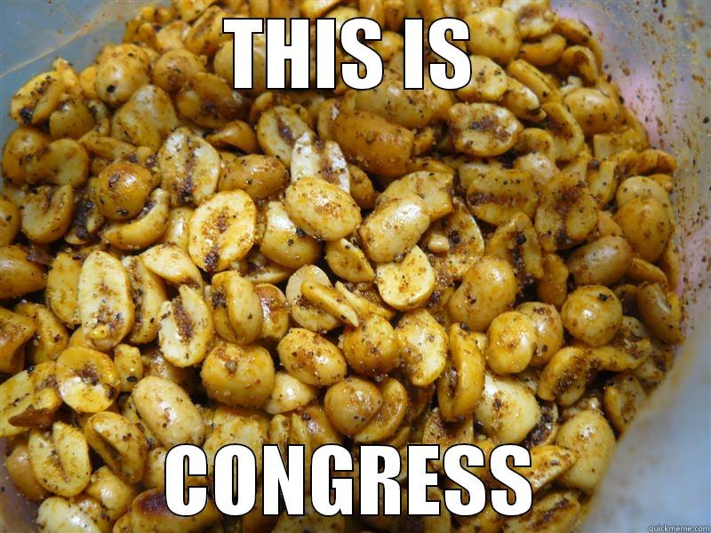 congress 1 - THIS IS CONGRESS Misc