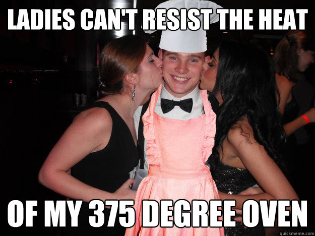 ladies can't resist the heat of my 375 degree oven  domesticsnook