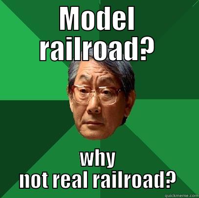 MODEL RAILROAD? WHY NOT REAL RAILROAD? High Expectations Asian Father