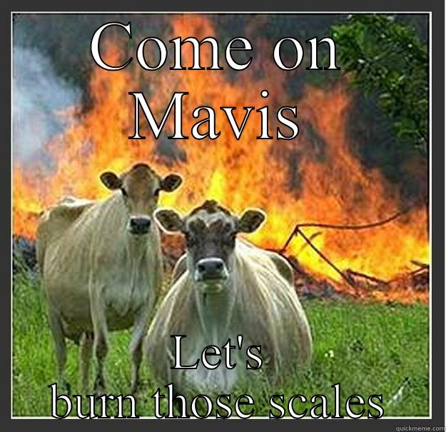 COME ON MAVIS LET'S BURN THOSE SCALES Evil cows