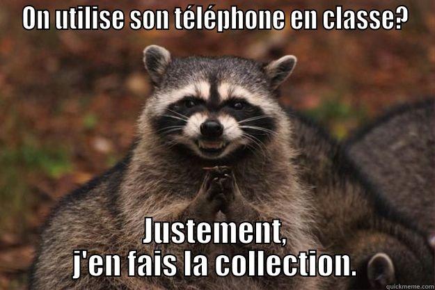 ON UTILISE SON TÉLÉPHONE EN CLASSE? JUSTEMENT, J'EN FAIS LA COLLECTION. Evil Plotting Raccoon