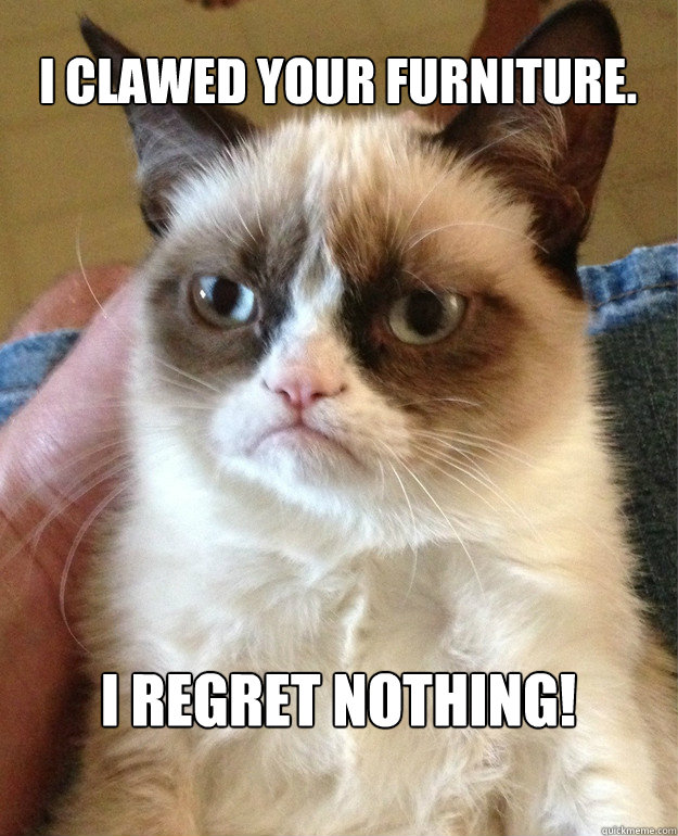 I clawed your furniture. I regret Nothing!  Grumpy Cat