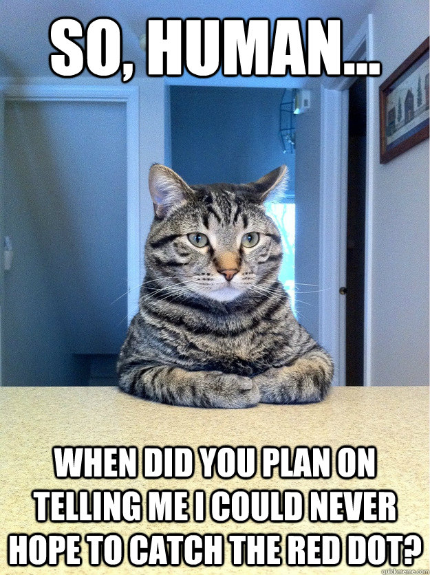 So, Human... When did you plan on telling me I could never hope to catch the red dot?  Chris Hansen Cat