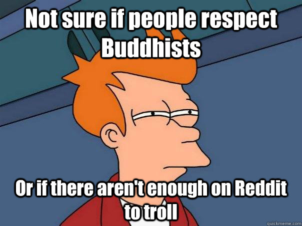 Not sure if people respect Buddhists Or if there aren't enough on Reddit to troll  Futurama Fry