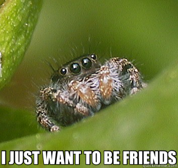  I JUST WANT TO BE FRIENDS  Misunderstood Spider